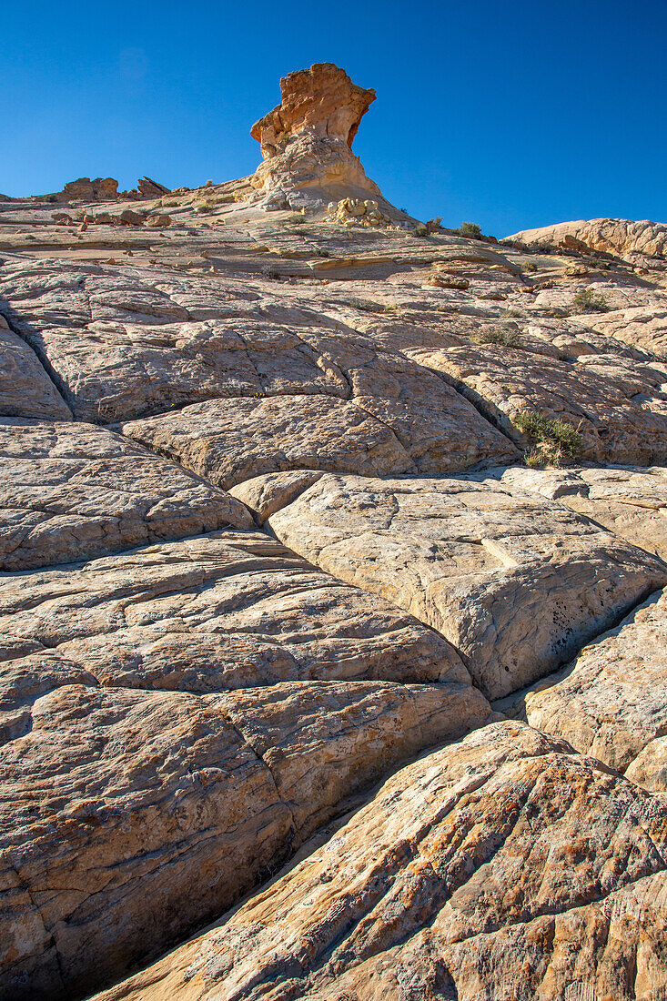 Navajo-Sandstein-Hoodoo-Felsformation im Grand Staircase-Escalante National Monument in Utah.