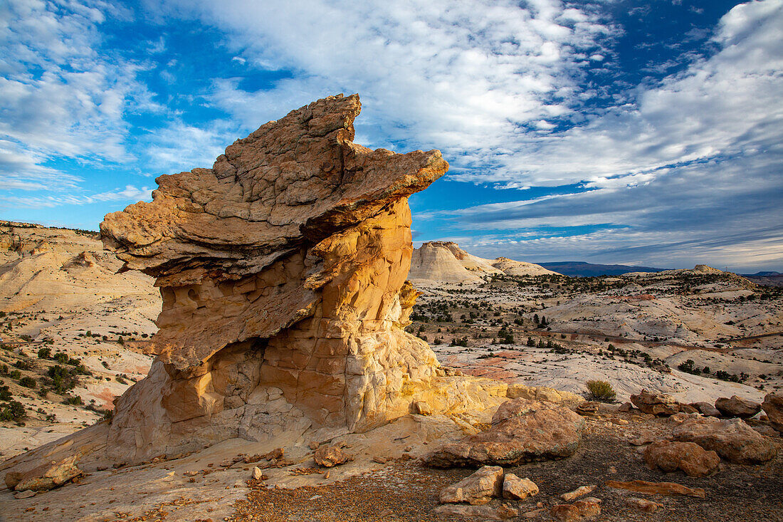 A Navajo sandstone hoodoo shaped like a griffin or a dragon in the Grand Staircase-Escalante National Monument in Utah.\n