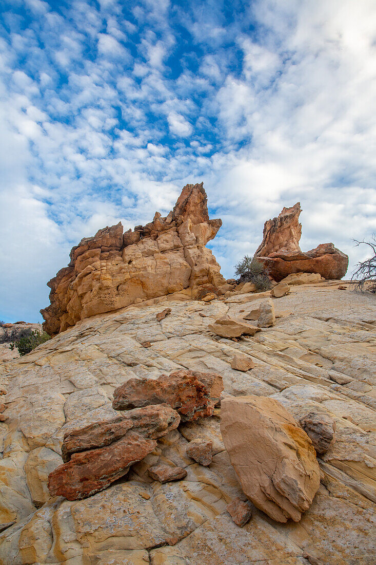 Navajo sandstone hoodoo rock formations in the Grand Staircase-Escalante National Monument in Utah.\n