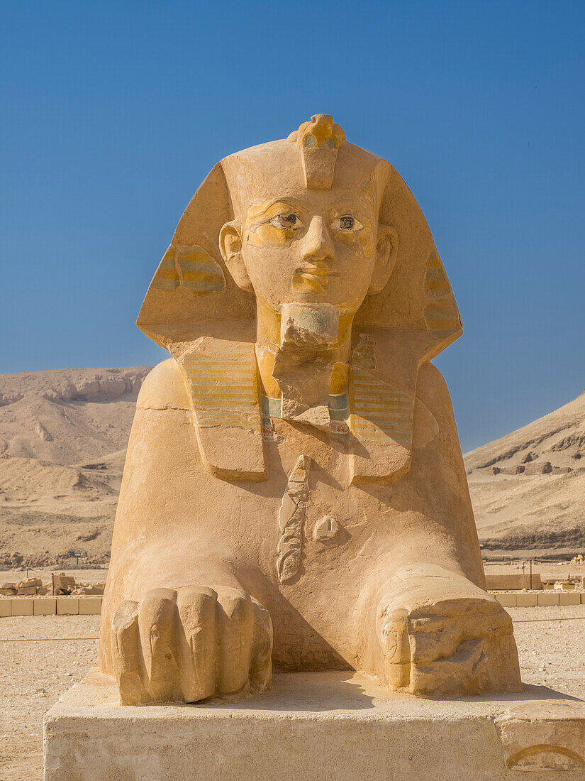 Sphinx an der Basis des Totentempels der Hatschepsut in Deir al-Bahri, erbaut während der Herrschaft der Pharaonin Hatschepsut, UNESCO-Welterbe, Theben, Ägypten, Nordafrika, Afrika