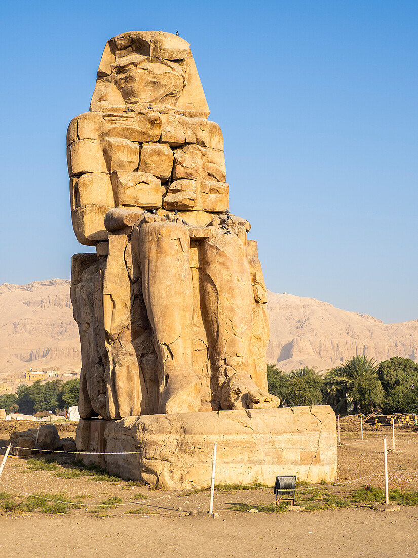 Seated statue, one of the Colossi of Memnon, near the Valley of the Kings, where for a period of 500 years rock tombs were excavated for pharaohs, UNESCO World Heritage Site, Thebes, Egypt, North Africa, Africa\n