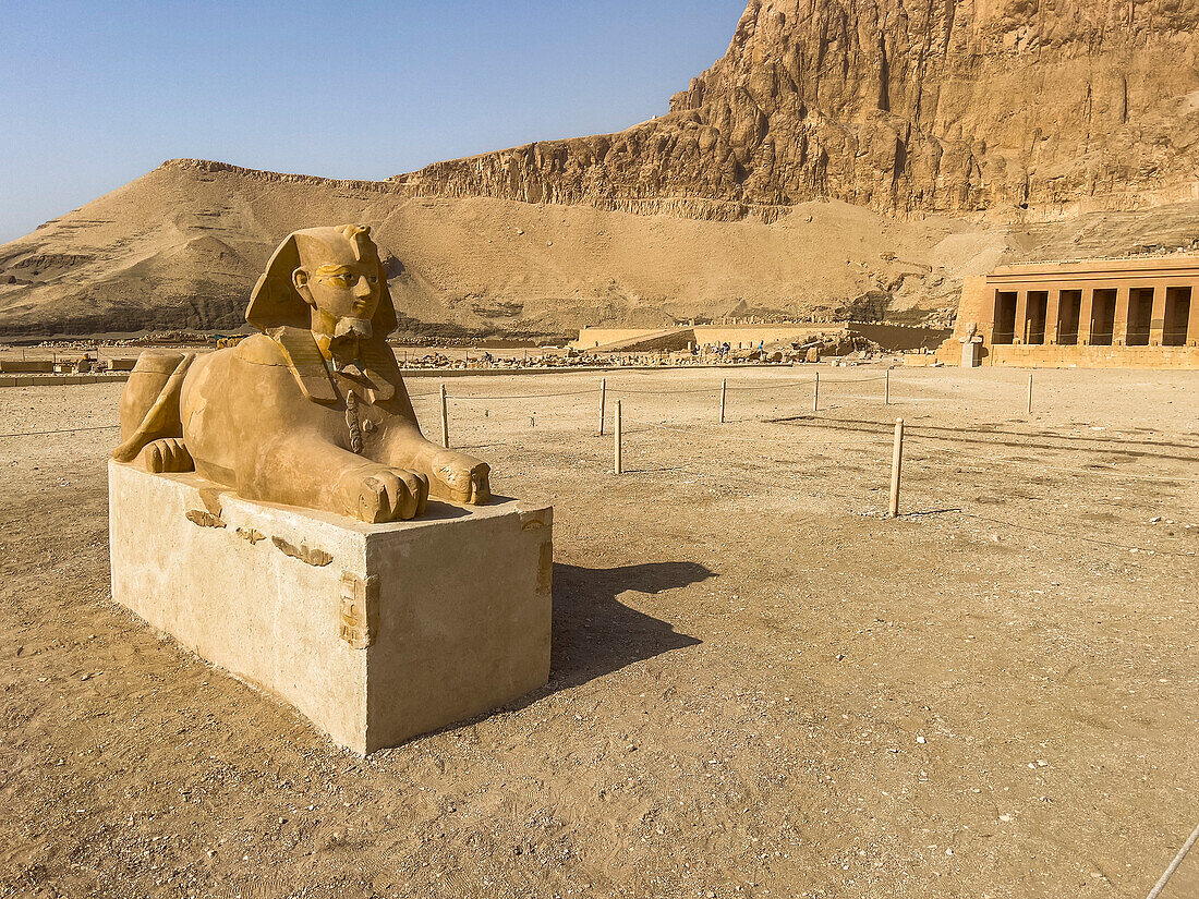 Sphinx am Fuße des Totentempels der Hatschepsut in Deir al-Bahri, erbaut während der Herrschaft der Pharaonin Hatschepsut, UNESCO-Welterbe, Theben, Ägypten, Nordafrika, Afrika