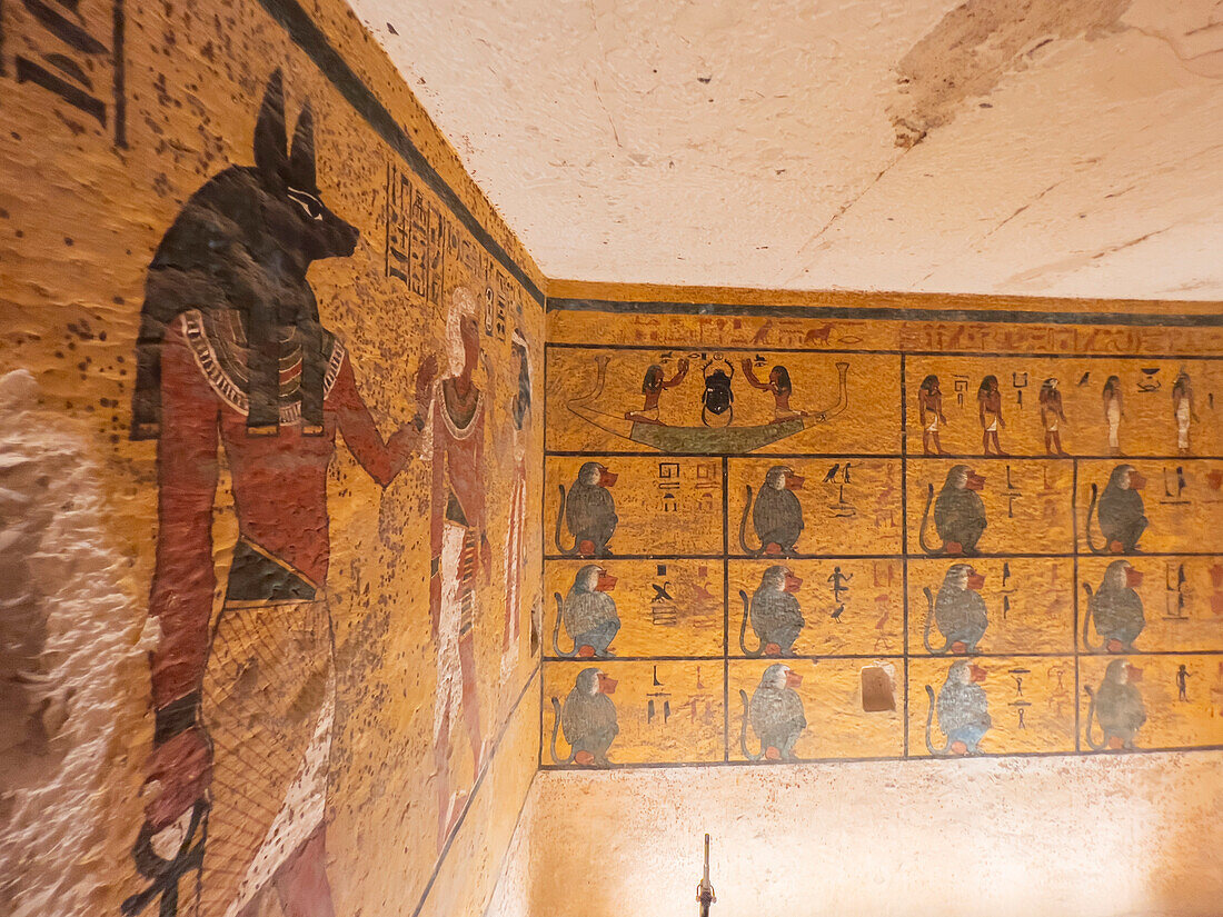Reliefs and paintings in the tomb of Tutankhamun, who reigned approximately 1334 to 1325 BC, Dynasty 18, Valley of the Kings, UNESCO World Heritage Site, Thebes, Egypt, North Africa, Africa\n