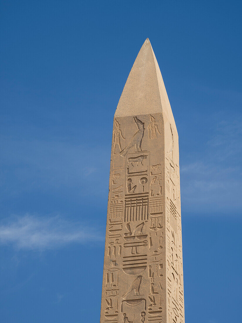 Obelisk von Thutmosis I., Tempelkomplex von Karnak, umfasst eine große Mischung aus Tempeln, Pylonen und Kapellen, UNESCO-Welterbestätte, bei Luxor, Theben, Ägypten, Nordafrika, Afrika