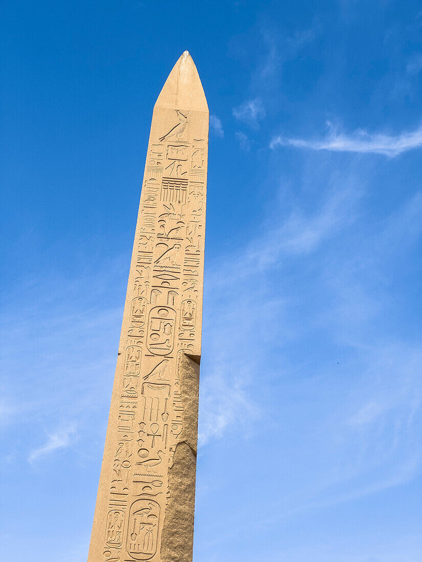 Obelisk von Thutmosis I., Tempelkomplex von Karnak, eine riesige Mischung aus Tempeln, Pylonen und Kapellen, UNESCO-Weltkulturerbe, in der Nähe von Luxor, Theben, Ägypten, Nordafrika, Afrika