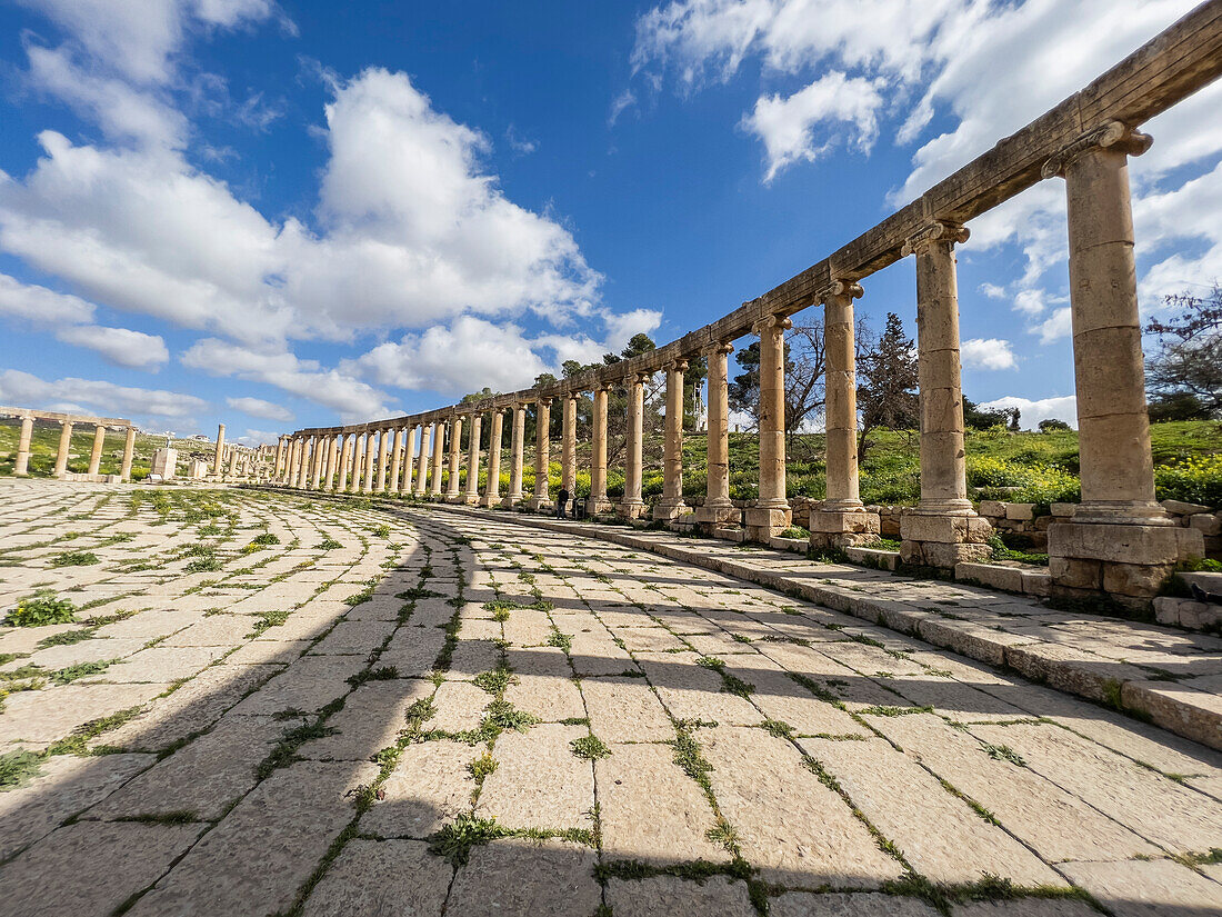 Columns in the Oval Plaza in the ancient city of Jerash, believed to be founded in 331 BC by Alexander the Great, Jerash, Jordan, Middle East\n