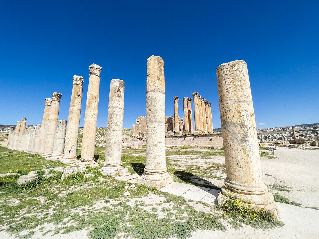 Säulen umrahmen ein Gebäude in der antiken Stadt Jerash, die vermutlich 331 v. Chr. von Alexander dem Großen gegründet wurde, Jerash, Jordanien, Naher Osten