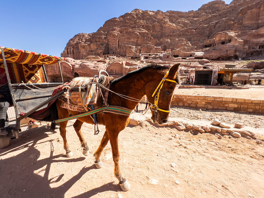Donkey cart, Petra Archaeological Park, UNESCO World Heritage Site, one of the New Seven Wonders of the World, Petra, Jordan, Middle East\n