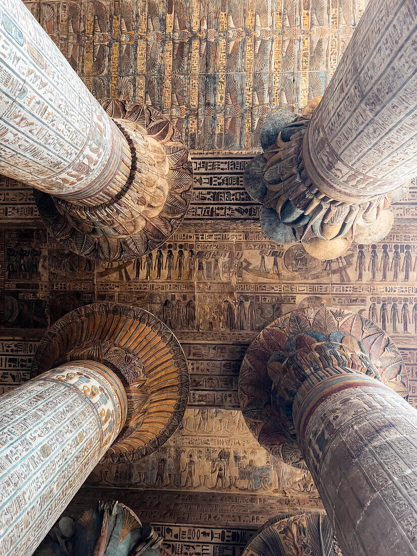 Columns in the Temple of Hathor, which began construction in 54 B.C.E, part of the Dendera Temple complex, Dendera, Egypt, North Africa, Africa\n