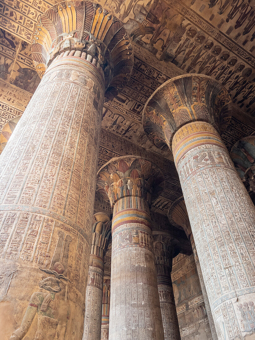 Columns in the Temple of Hathor, which began construction in 54 BCE, part of the Dendera Temple complex, Dendera, Egypt, North Africa, Africa\n