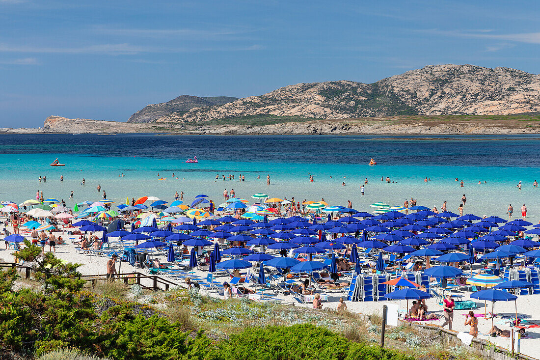 Strand La Pelosa, Golf von Asinara, Stintino, Provinz Sassari, Sardinien, Italien, Mittelmeer, Europa