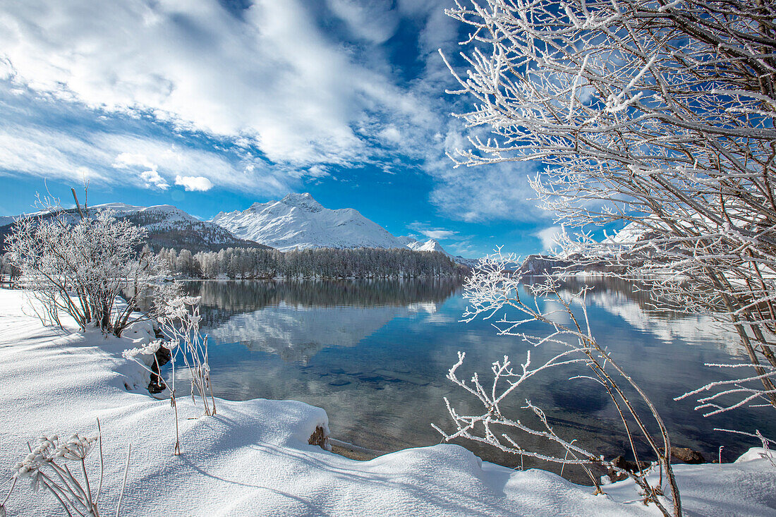 Wolken über verschneiten Wäldern am Ufer des zugefrorenen Silsersees im Winter, Engadin, Kanton Graubünden, Schweiz, Europa