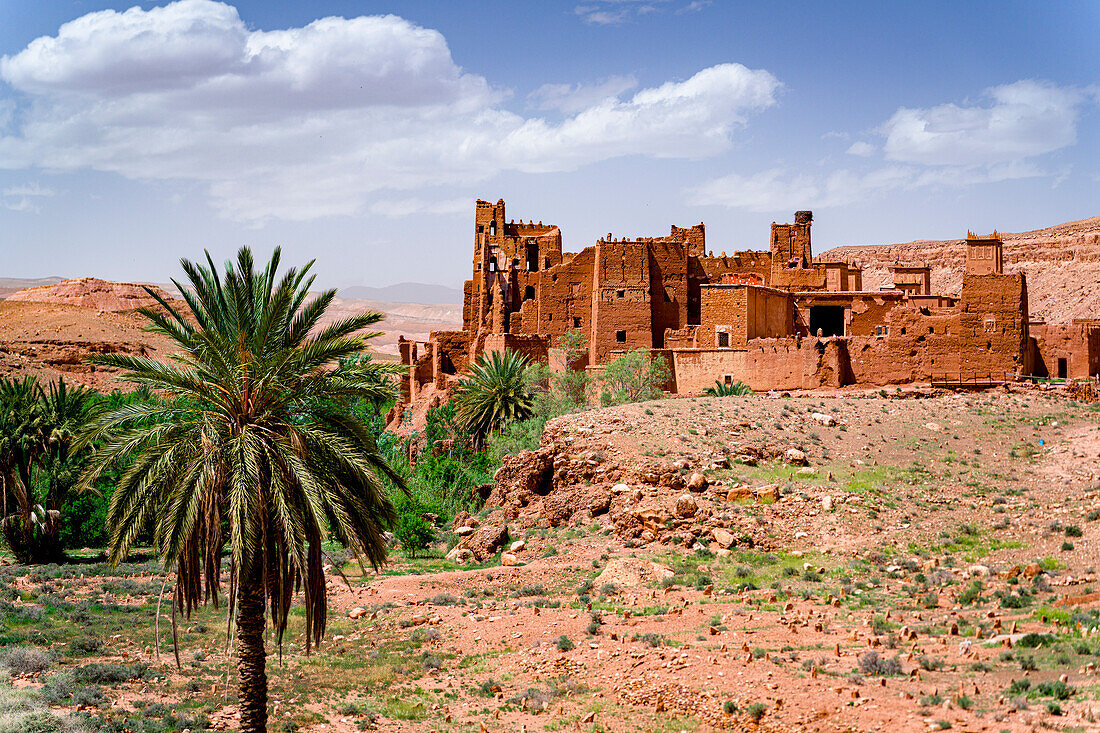 Alte Kasbah umgeben von Palmen, Ounila-Tal, Atlasgebirge, Provinz Ouarzazate, Marokko, Nordafrika, Afrika