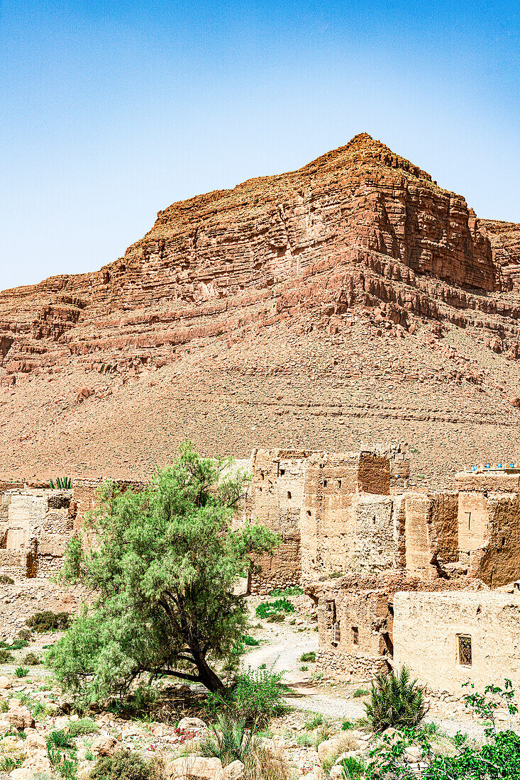 Lehmziegelgebäude eines alten Dorfes mit roten Schluchten im Hintergrund, Ziz-Tal, Atlasgebirge, Marokko, Nordafrika, Afrika