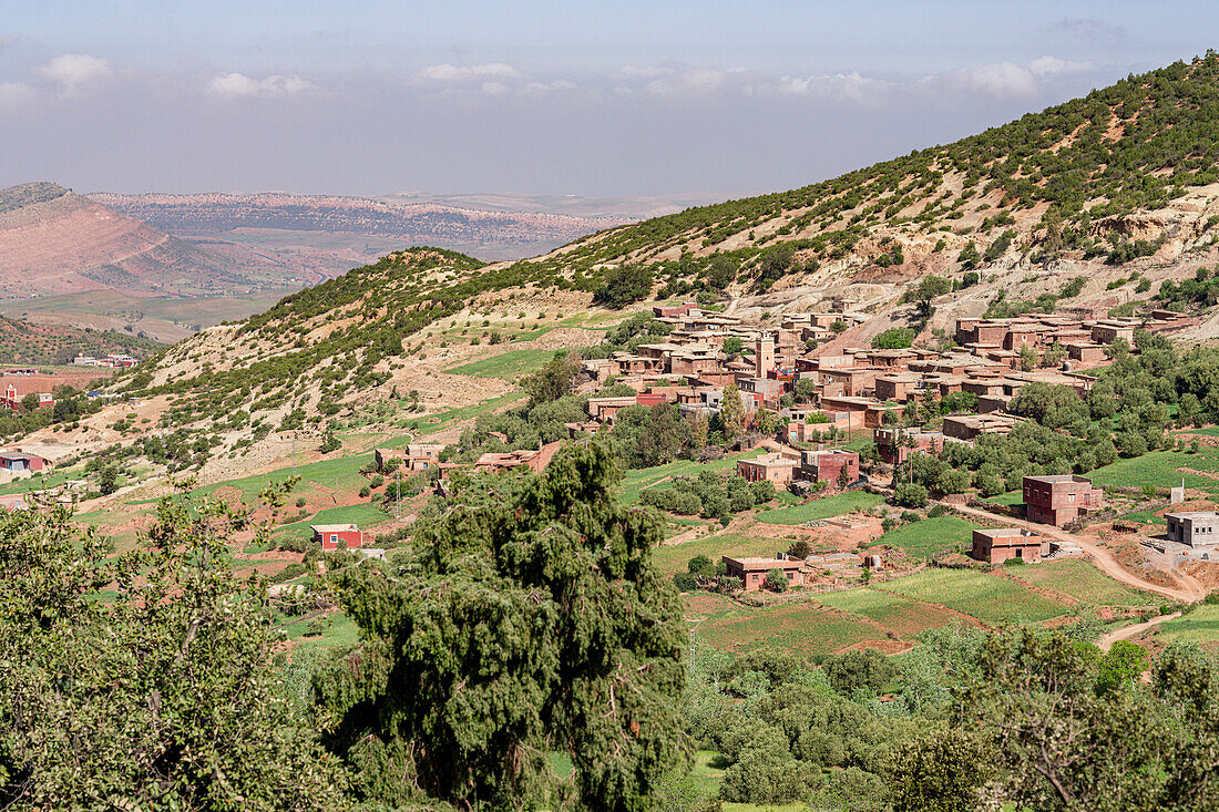 Blick von oben auf ein altes Berberdorf auf grünen Hügeln, Hochatlasgebirge, Marokko, Nordafrika, Afrika