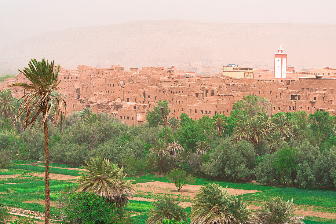 Old mosque in a kasbah framed by palm tree groves, Dades, Atlas mountains, Ouarzazate province, Morocco, North Africa, Africa\n