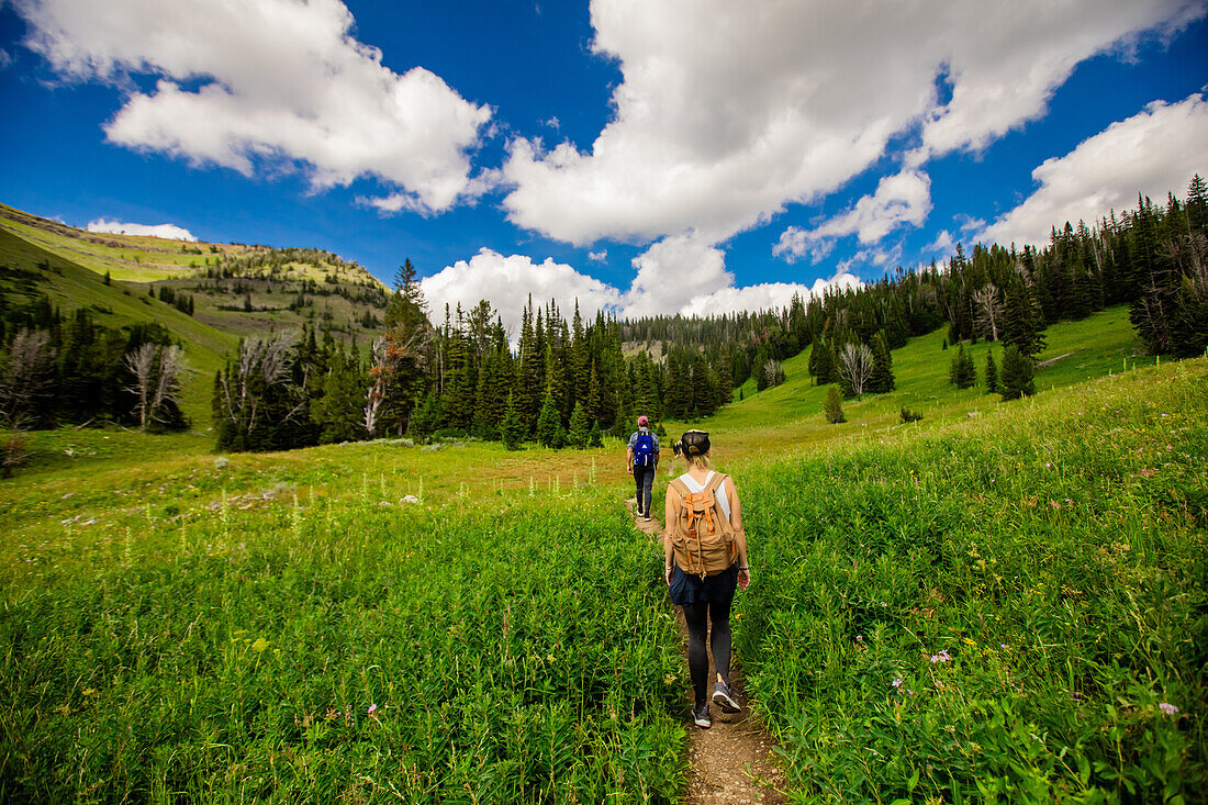 Wanderer auf den Pfaden des Grand Teton National Park, Wyoming, Vereinigte Staaten von Amerika, Nordamerika