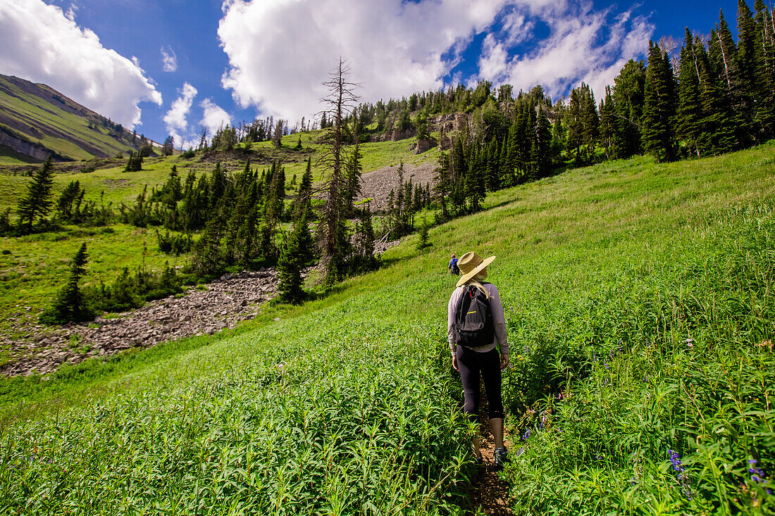 Wanderer auf den Wegen des Grand Teton National Park, Wyoming, Vereinigte Staaten von Amerika, Nordamerika