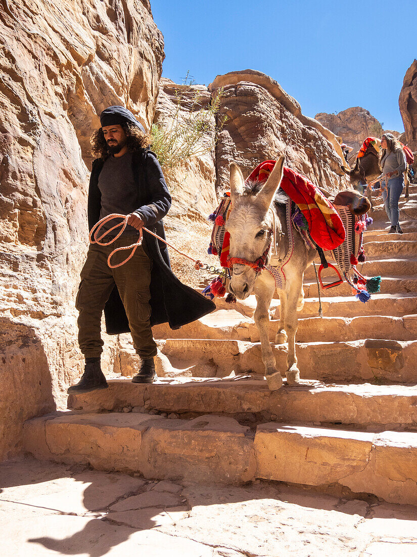 Donkeys on the path to The Petra Monastery (Al Dayr), Petra Archaeological Park, UNESCO World Heritage Site, one of the New Seven Wonders of the World, Petra, Jordan, Middle East\n