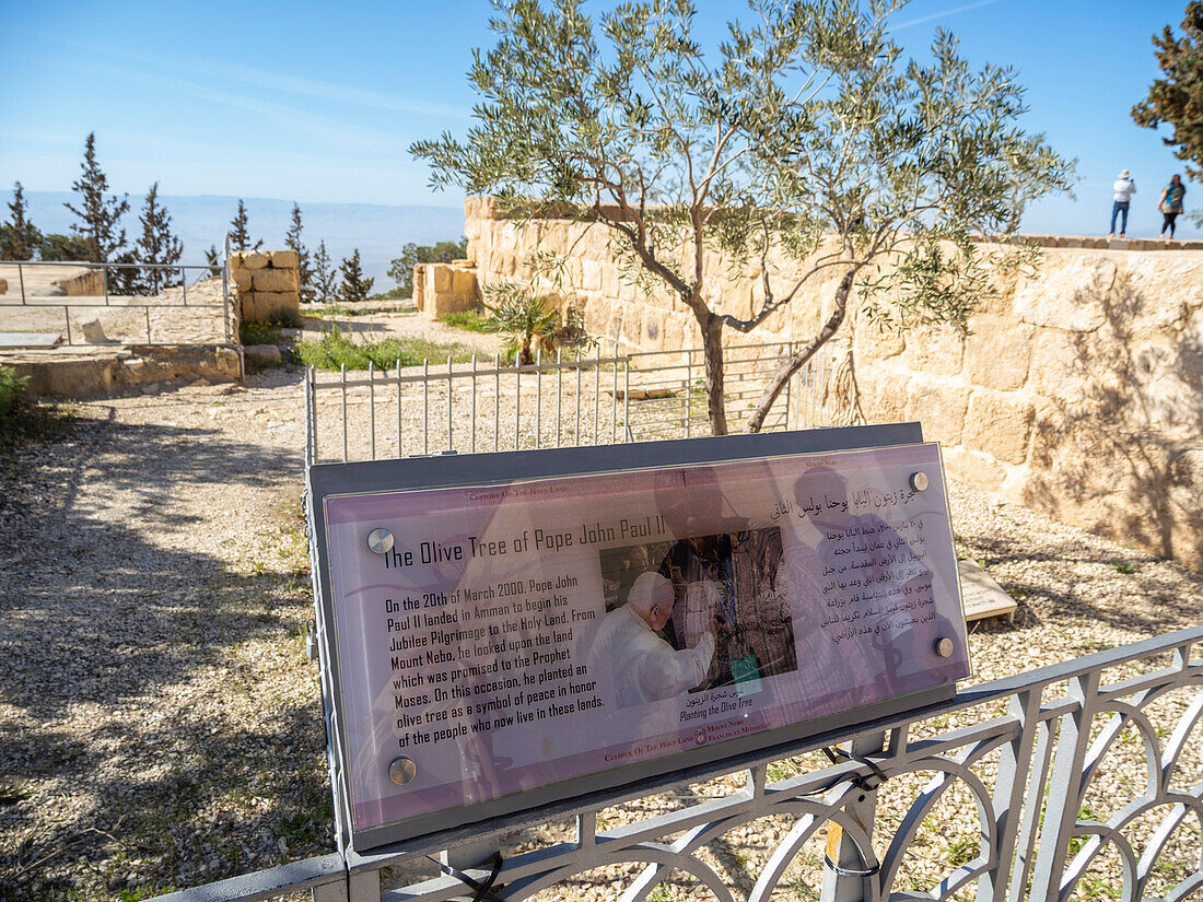 Olivenbaum und Schild zum Gedenken an den Besuch von Papst Johannes Paul II. am 20. März 2000 auf dem Gipfel des Berges Nebo während seiner Pilgerreise ins Heilige Land, Jordanien, Naher Osten