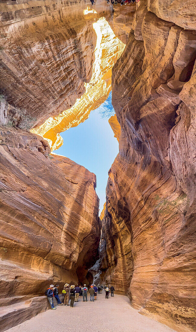 The Siq, entrance to Petra Archaeological Park, UNESCO World Heritage Site, one of the New Seven Wonders of the World, Petra, Jordan, Middle East\n