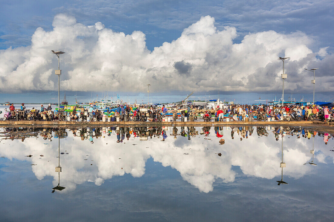 Vendors selling fresh fish at the fish market in Sorong, the largest city of the Indonesian province of Southwest Papua, Indonesia, Southeast Asia, Asia\n