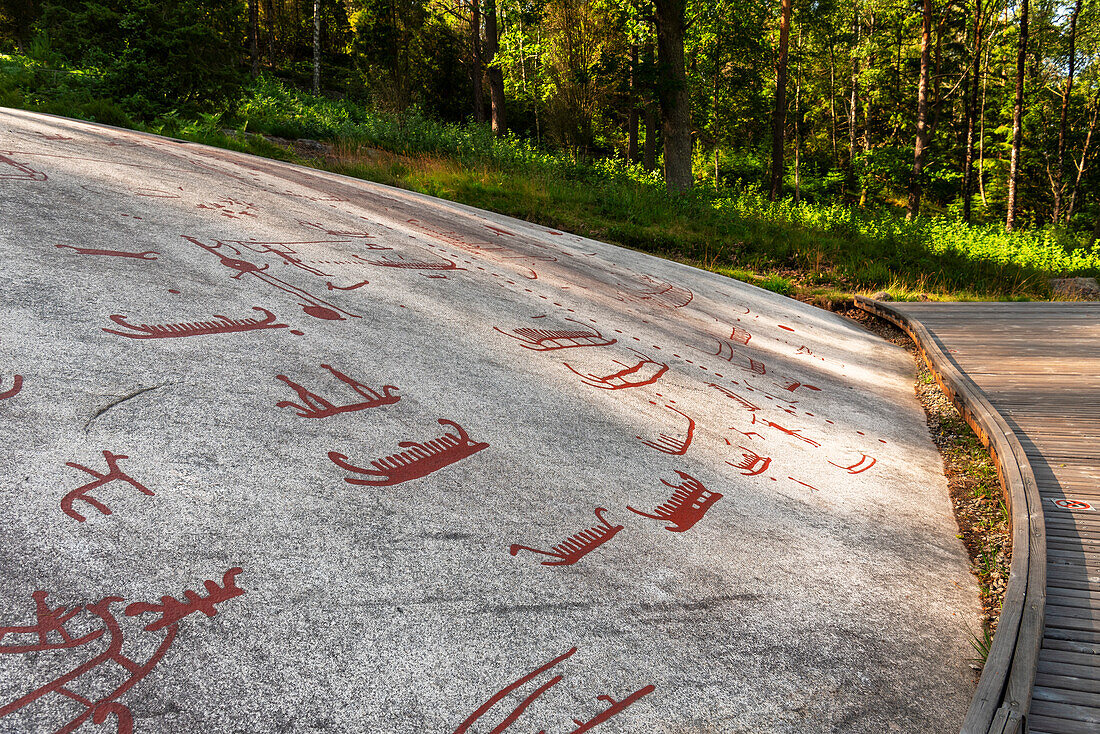 Bronzezeitliche Felszeichnungen in Tanum, UNESCO-Weltkulturerbe, Vastra Gotaland, Provinz Bohuslan, Schweden, Skandinavien, Europa