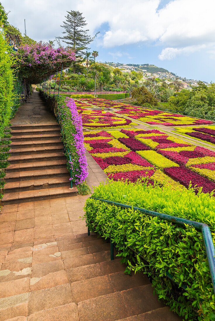 Madeira Botanischer Garten, Funchal, Madeira, Portugal, Atlantik, Europa