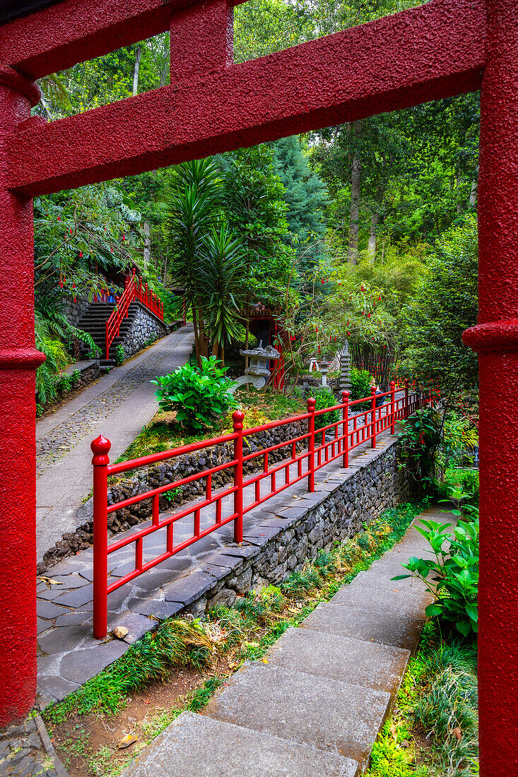 Tropischer Garten des Monte Palace, Funchal, Madeira, Portugal, Atlantik, Europa