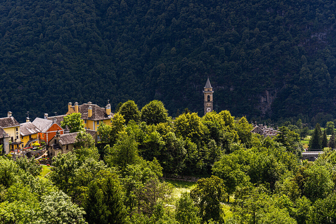 Die Gemeinde Varzo aus der Ferne gesehen, mit Dächern und Türmen über dem Bergwald, Varzo, Piemont, Norditalien, Europa