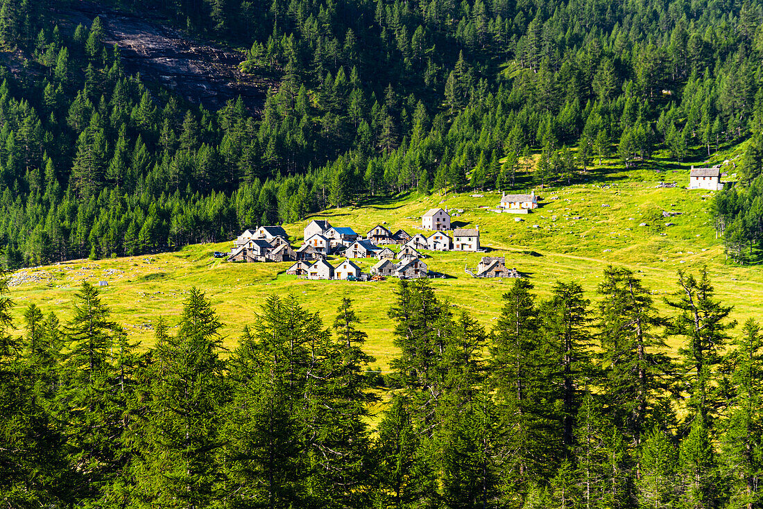 Malerisches Bergdorf aus Felsen, umgeben von saftig grünen Wiesen und Wäldern, Varzo, Alpe Veglia, Verbania, Piemont, Italien, Europa