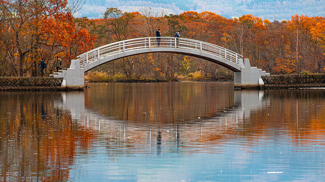Eine gebogene Hakamagoshi-Brücke am Onuma-See an einem strahlenden Herbsttag, Hokkaido, Japan, Asien