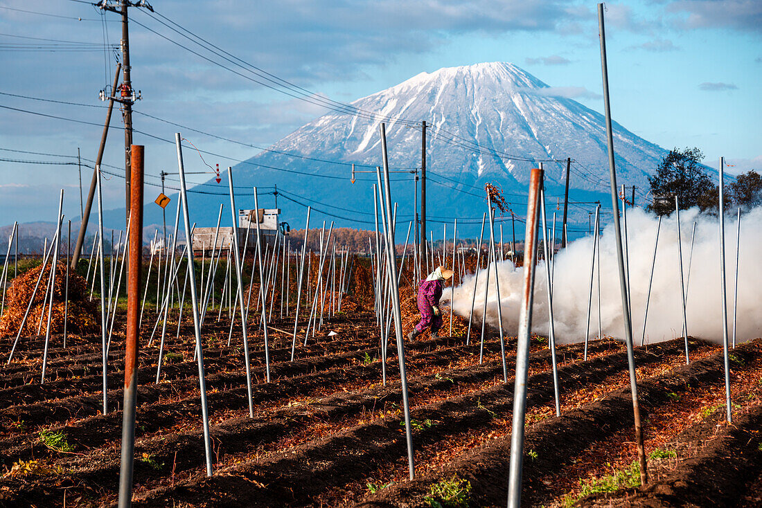 Bauer verbrennt Stroh auf einem Feld, mit schneebedecktem Vulkan und Rauch, Yotei-zan Gipfel, Hokkaido, Japan, Asien