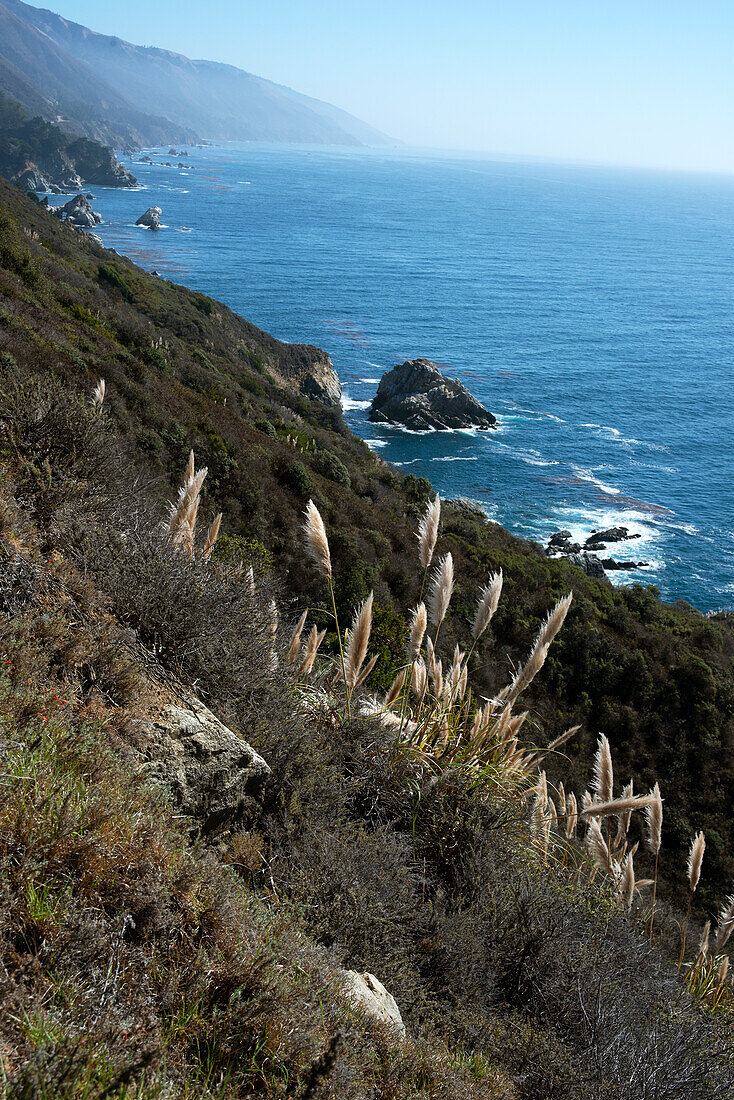 Küstenlinie, Big Sur, Kalifornien, Vereinigte Staaten von Amerika, Nordamerika