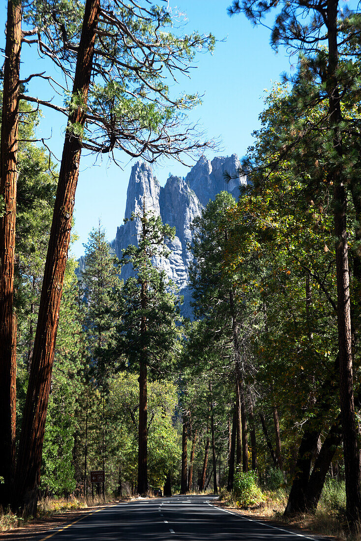 Yosemite National Park, UNESCO World Heritage Site, California, United States of America, North America\n