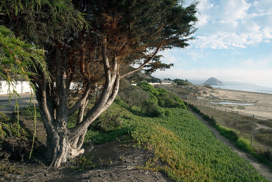 Morro Bay, California, United States of America, North America\n