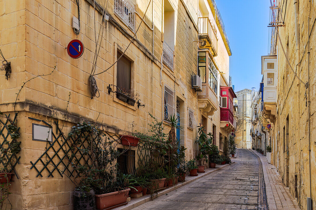 Traditionelle maltesische Kalksteingebäude mit bunten Balkonen in den lebhaften Gassen der Altstadt von Birgu (Citta Vittoriosa), Malta, Mittelmeer, Europa