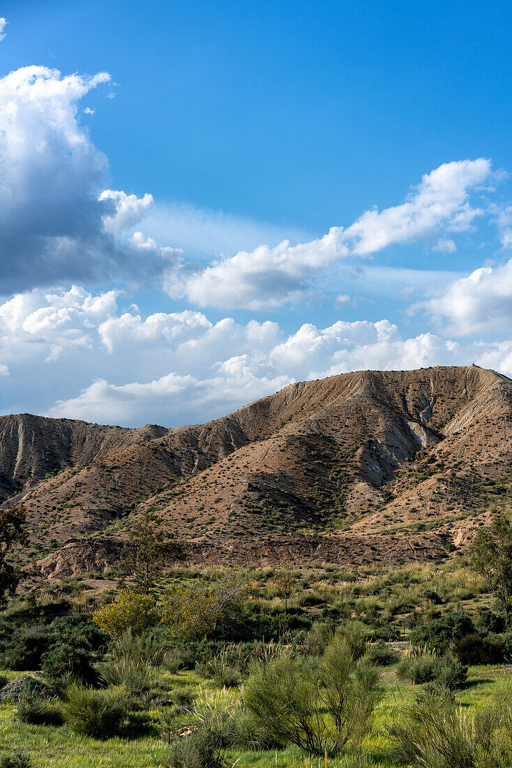 Tabernas Wüstenlandschaft an einem sonnigen Tag, Almeria, Andalusien, Spanien, Europa