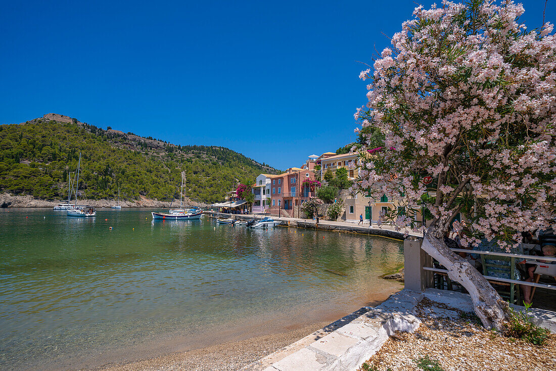 View of harbour and colourful houses in Assos, Assos, Kefalonia, Ionian Islands, Greek Islands, Greece, Europe\n