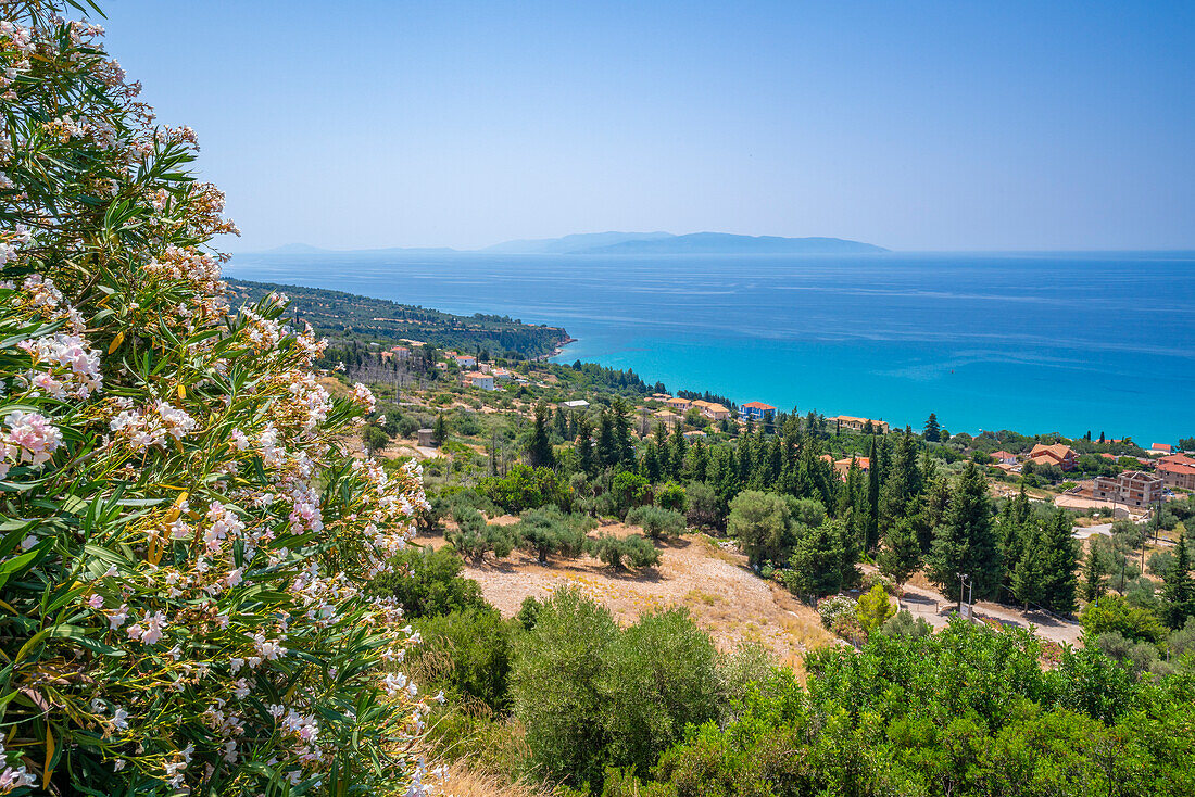 View of olive groves and coastline near Lourdata, Kefalonia, Ionian Islands, Greek Islands, Greece, Europe\n