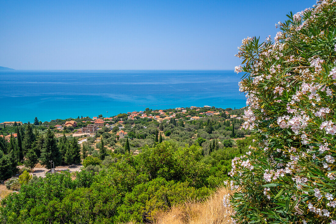 View of olive groves and coastline near Lourdata, Kefalonia, Ionian Islands, Greek Islands, Greece, Europe\n