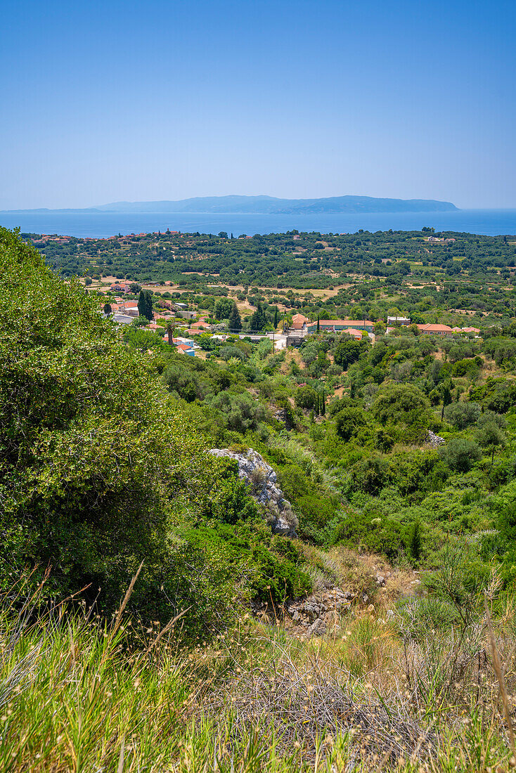 View of olive groves and coastline near Lourdata, Kefalonia, Ionian Islands, Greek Islands, Greece, Europe\n