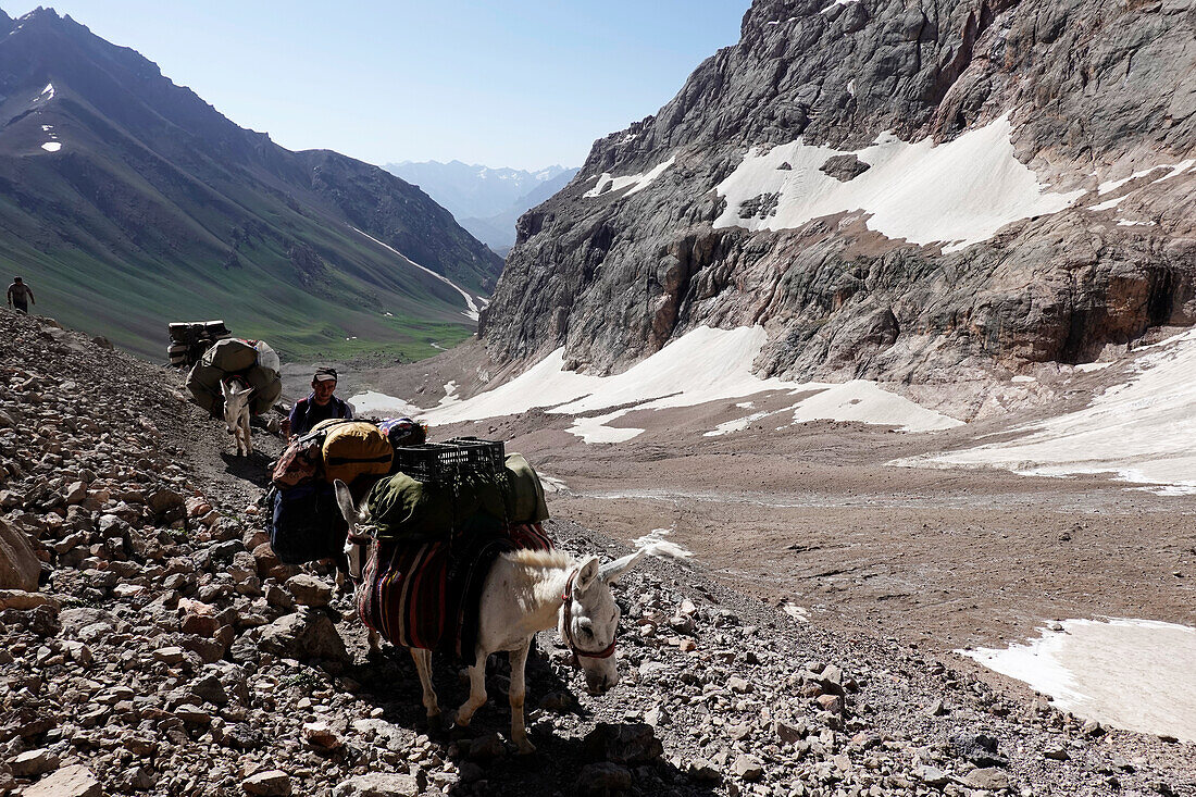 Pack animals in the remote and spectacular Fann Mountains, part of the western Pamir-Alay, Tajikistan, Central Asia, Asia\n