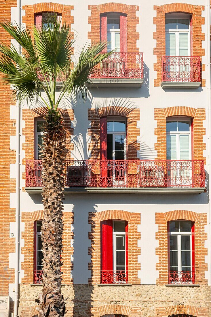 France, Pyrenees Orientales, Perpignan, building and palm avenue du General de Gaulle\n