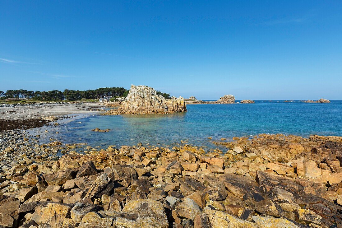 France, Cotes d'Armor, Plougrescant, Anse de Pors Scaff on the GR 34 hiking trail\n