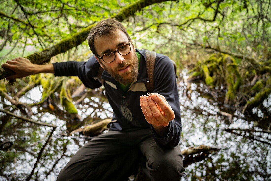 France, Haute Loire, Allegre, Natural regional park of Livradois Forez, peat bog in the crater of Mont Bar, Nathanaël Lefebvre, Nathanaël Lefebvre, biologiste,\n