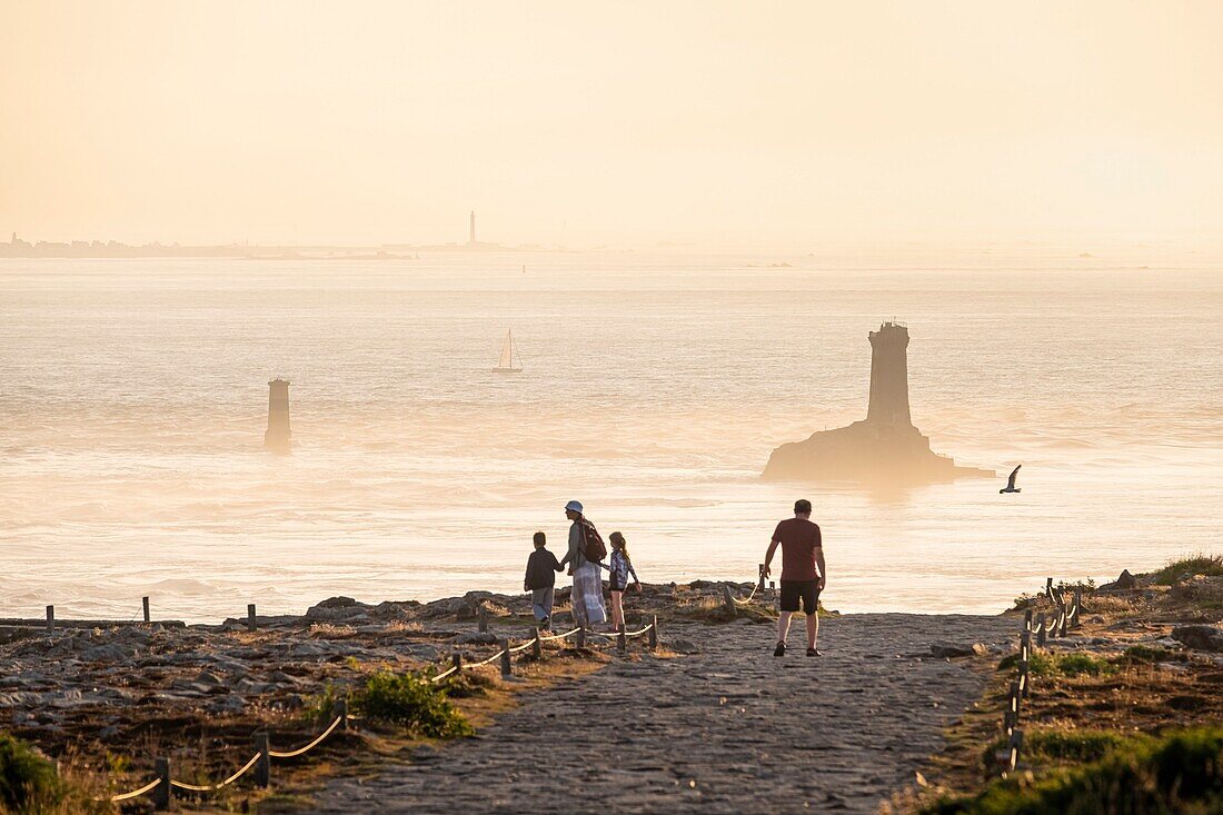 France, Finistere, Plogoff, Pointe du Raz along the GR 34 hiking trail or customs trail, La Vieille lighthouse and Sein island in the background\n