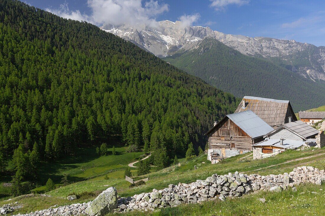 France, Hautes Alpes, Ceillac, regional park of Queyras, hamlet of Le Villard\n