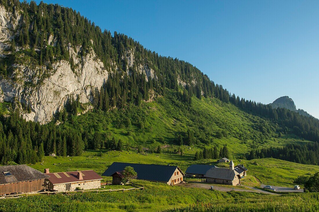 France, Haute Savoie, massif of Chablais, Abondance valley, Abondance, the alp and the hamlet of Ubine at the foot of the cliffs of Mont Chauffe\n