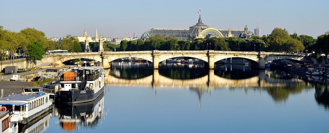 France, Paris, area listed as World Heritage by UNESCO, the banks of the Seine river and the Grand Palais\n